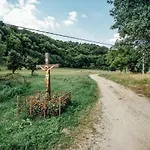 Antosikov Majer *
