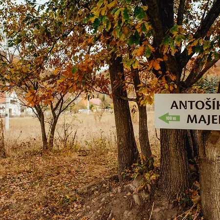 Antosikov Majer * Banská Štiavnica