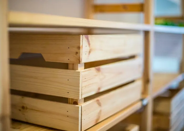 Antosikov Majer カントリーハウス